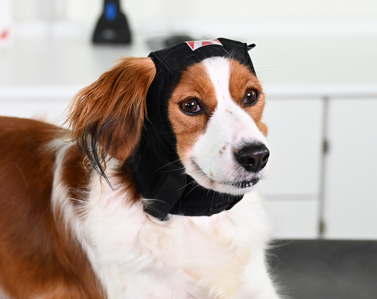 Buster Ear Cover Gr. XS
