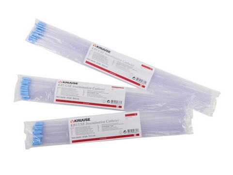 Besamung