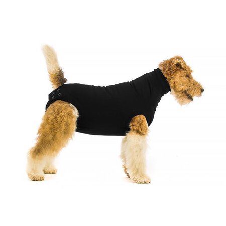 Pet Shirts 