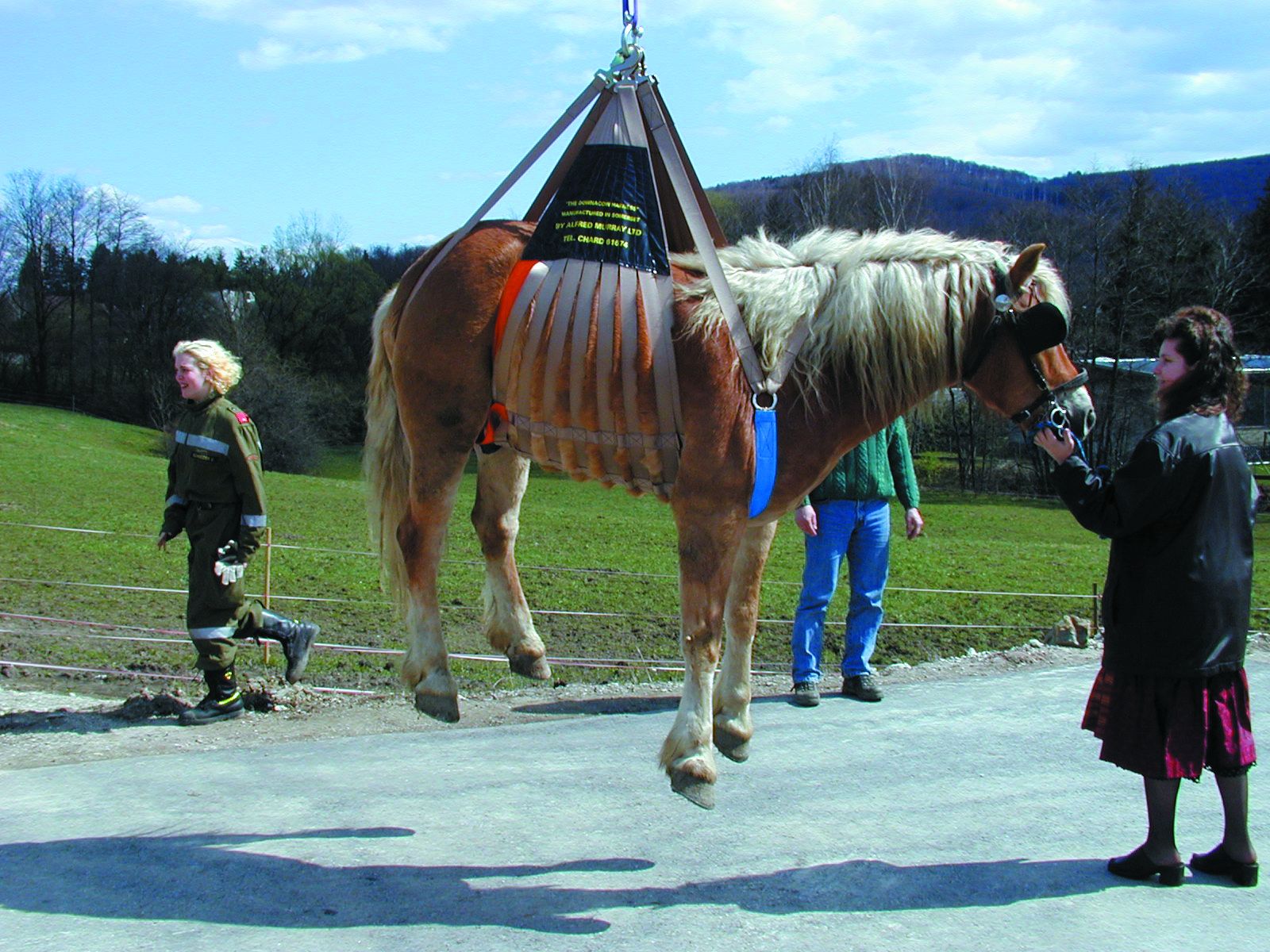 Equi-Lift-Hebegeschirr für Pferde