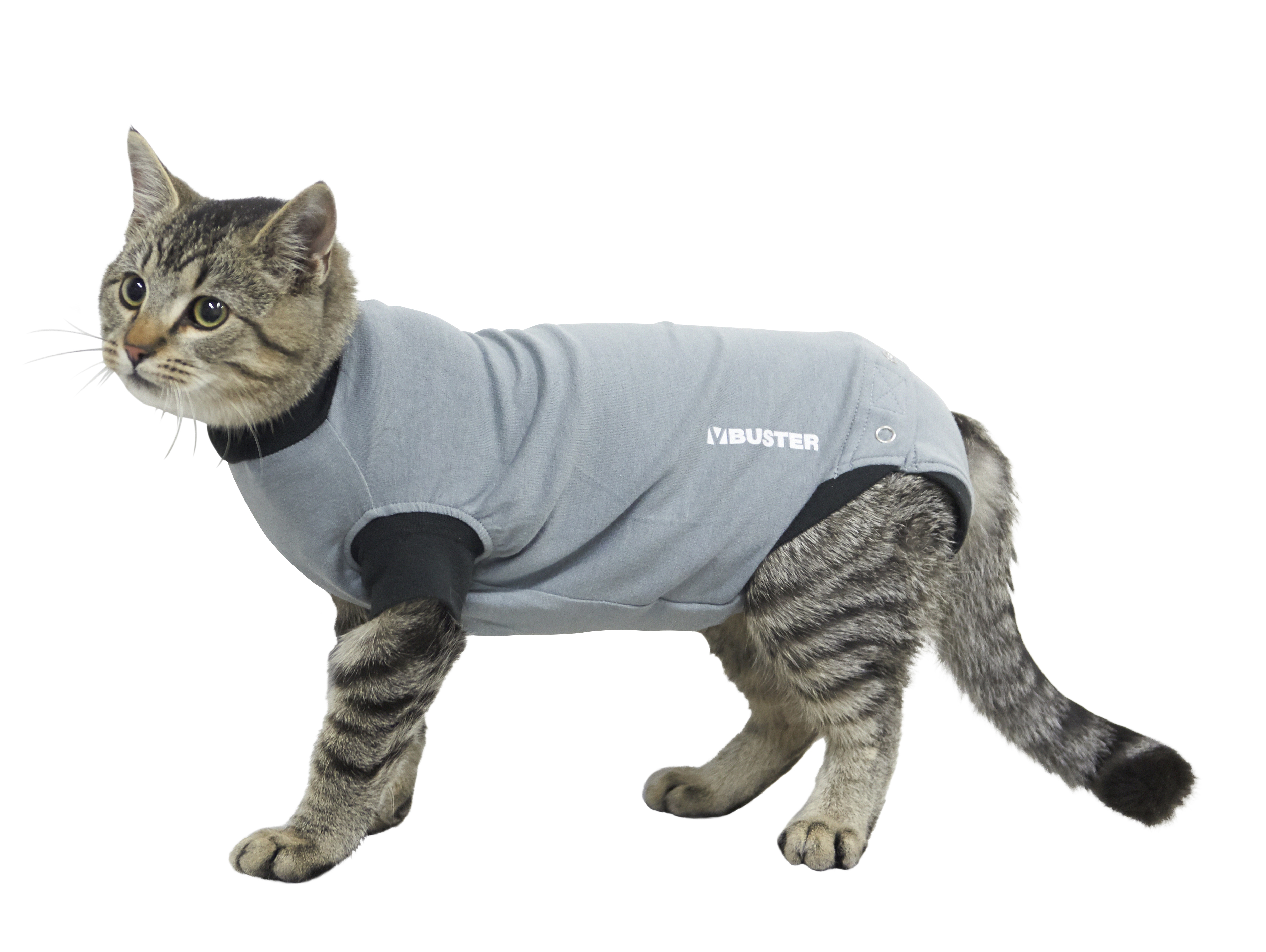 BodySuit Buster Katze - Gr. S - 44,5 cm