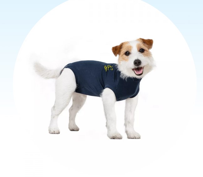 MPS Pet Shirt blau Hund Gr. 3XS
