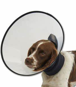 Buster PREMIUM Halskragen - Gr. M
