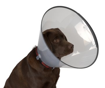 Halskragen Buster ComfortCollar, 12,5 cm