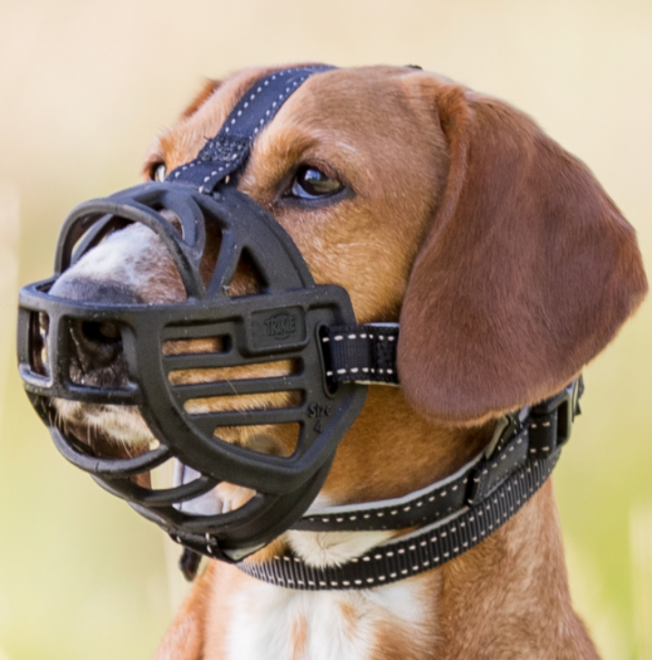 Maulkorb Muzzle Flex, Gummi Gr. S