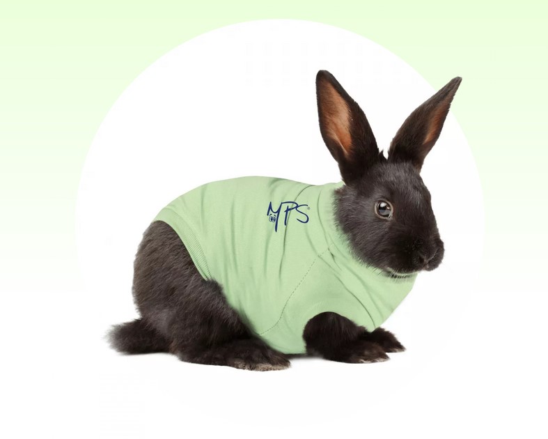 MPS Petshirt - Grün,  Hase  -  Gr. L