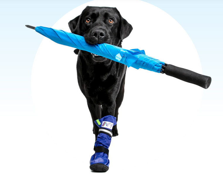 MPS Medical Pets Boot Hund Gr. L kurz