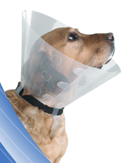 Halskragen Clic Collar SMI 12,5cm