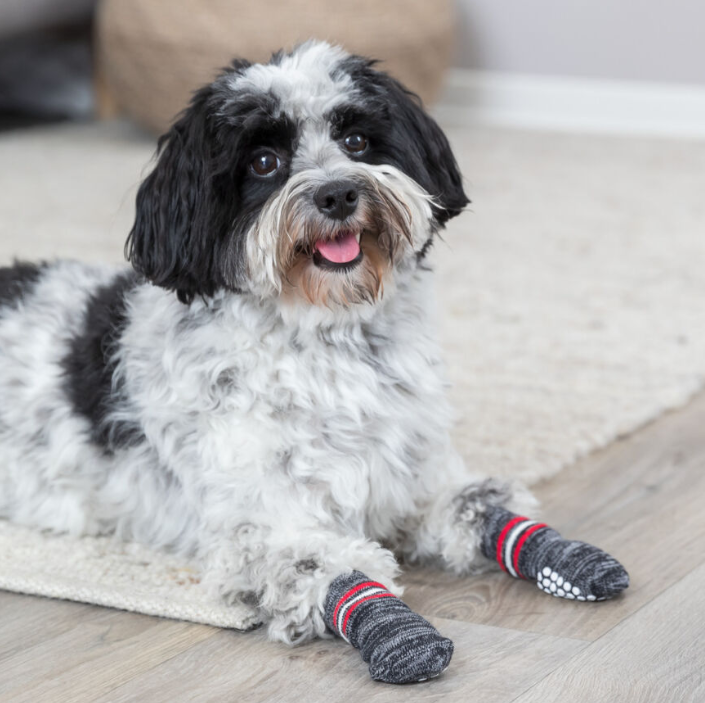 Hundesocken Antirutsch Gr. S-M